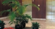 745 McClintock Dr Willowbrook, IL 60527 - Image 14931893