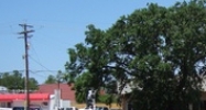 10269 Airline Highway Baton Rouge, LA 70816 - Image 14932032