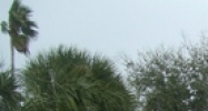 1268 Rogers St. Clearwater, FL 33756 - Image 14932805