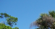 626 Lakeview Road Clearwater, FL 33756 - Image 14932807