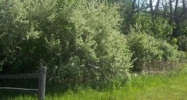 0 E Reid Rd Grand Blanc, MI 48439 - Image 14932943