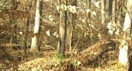 8402 Arnoldown Rd  Ky Louisville, KY 40214 - Image 14933909