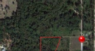 30500 Bridges rd Livingston, LA 70754 - Image 14934098