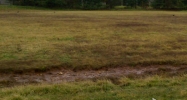 3 acres Portland Avenue Bardstown, KY 40004 - Image 14934881