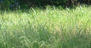 949 W Mckinley St Baton Rouge, LA 70802 - Image 14934912
