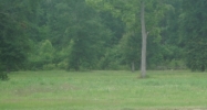 W. Sam Arnold Loop Rd Ponchatoula, LA 70454 - Image 14935537