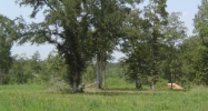 Weaver Ln Ponchatoula, LA 70454 - Image 14935544