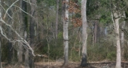Pelican Park Drive Lot 14 Ponchatoula, LA 70454 - Image 14935546