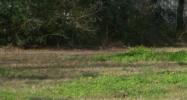 Pelican Park Drive Lot 3 Ponchatoula, LA 70454 - Image 14935550