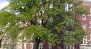 215-217 Essex Street and 204 Oak Street Holyoke, MA 01040 - Image 14935691