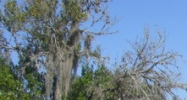 13841 7th St Dade City, FL 33525 - Image 14935896