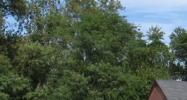 762 Boston Road Springfield, MA 01119 - Image 14935802