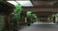 13 Branch St Methuen, MA 01844 - Image 14936004