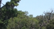 5408-5450 St. James Drive New Port Richey, FL 34652 - Image 14936632
