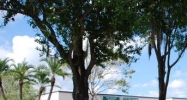 15201 Roosevelt Blvd Clearwater, FL 33760 - Image 14936646