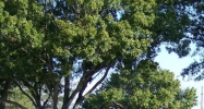 14221 60th Street N Clearwater, FL 33760 - Image 14936647