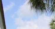 6501 102nd Avenue Pinellas Park, FL 33782 - Image 14936886
