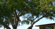 545 4th Ave South Saint Petersburg, FL 33701 - Image 14936865