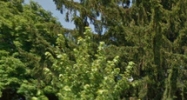 2423 S Calhoun St Fort Wayne, IN 46807 - Image 14937135