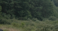 Union Valley Road Oak Ridge, TN 37830 - Image 14937652