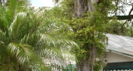 6119 Grand Blvd. New Port Richey, FL 34652 - Image 14938048