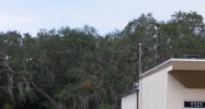 5323 Main Street New Port Richey, FL 34652 - Image 14938049
