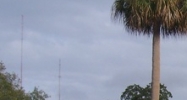 129 Fairfield St Oldsmar, FL 34677 - Image 14938584