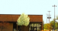 1601 S Burdick St Kalamazoo, MI 49001 - Image 14938616