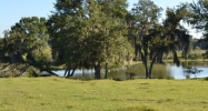Fish Hatchery Road & Morgan Combee Road Lakeland, FL 33801 - Image 14940984