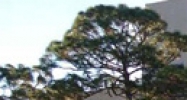 2536 Countryside Blvd Clearwater, FL 33763 - Image 14944239