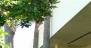 24671 US Highway 19 N. Clearwater, FL 33763 - Image 14944243