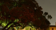 1 Gulf to Bay Blvd. Clearwater, FL 33759 - Image 14944318