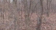 Valla Road Louisville, KY 40213 - Image 14944305
