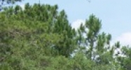 2623 McCormick Dr Clearwater, FL 33759 - Image 14944407