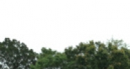 5610 Roosevelt Blvd., Clearwater, FL 33760 - Image 14944542