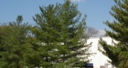 10330 Technology Drive Knoxville, TN 37932 - Image 14945145