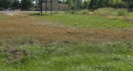 Airline Drive Metairie, LA 70003 - Image 14945564