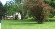 9380 State Rd. 64 Georgetown, IN 47122 - Image 14946991
