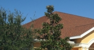6911 Pistol Range Rd Tampa, FL 33635 - Image 14947202