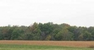 Lot 16 S Regal Pt Mapleton, IL 61547 - Image 14947779