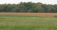 Lot 17 S Regal Pt Mapleton, IL 61547 - Image 14947780