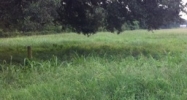 13-J-2 Hwy 75 Geismar, LA 70734 - Image 14947890