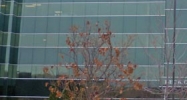28345 Beck Road Wixom, MI 48393 - Image 14951927