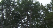 407 W US HWY 80 Bloomingdale, GA 31302 - Image 14953735