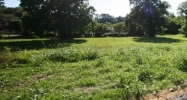 Main Street Lot 5 Tellico Plains, TN 37385 - Image 14953982
