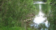 914 Fariview Road Tellico Plains, TN 37385 - Image 14954052