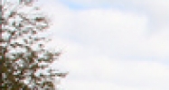 5470 Gratiot Rd Saginaw, MI 48638 - Image 14954341