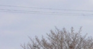 6847 Nine Mile Road Warren, MI 48091 - Image 14955610