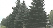 39303 Country Club Dr. Farmington, MI 48331 - Image 14956673