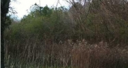 5800 Reeds Bridge Rd Ringgold, GA 30736 - Image 14960148